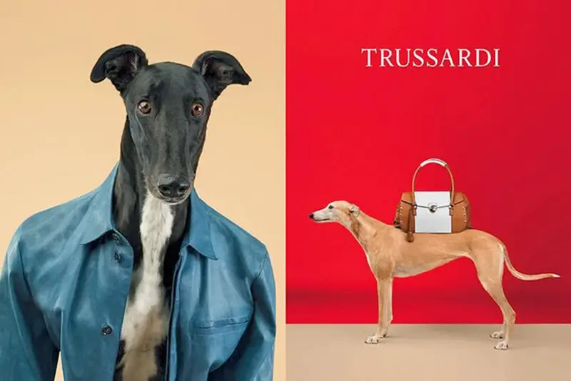 Historia marki Trussardi w pigułce